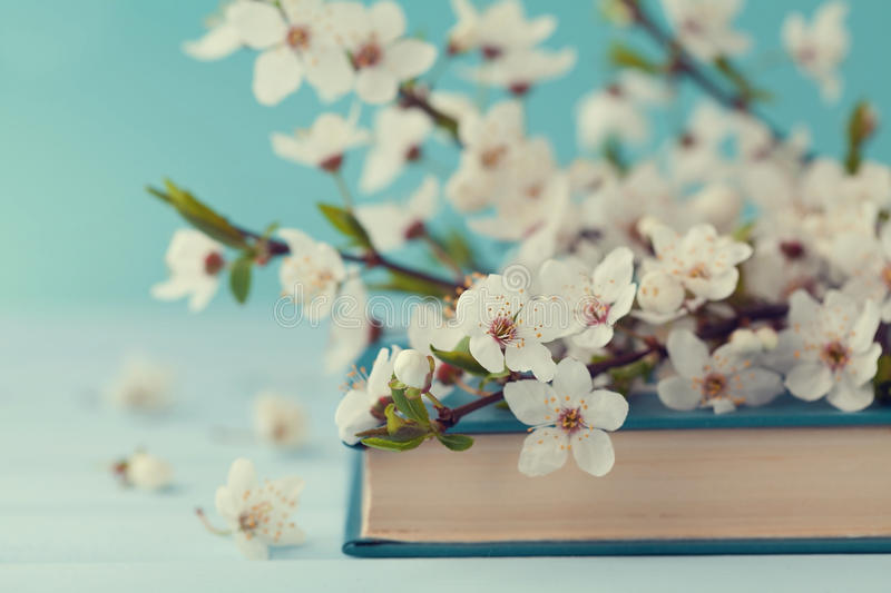 des fleurs blanches sur un livre